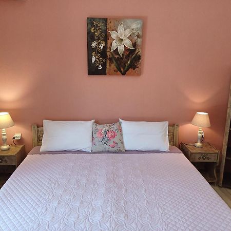 Alexandra Spingou Apartments Dassia  Dış mekan fotoğraf
