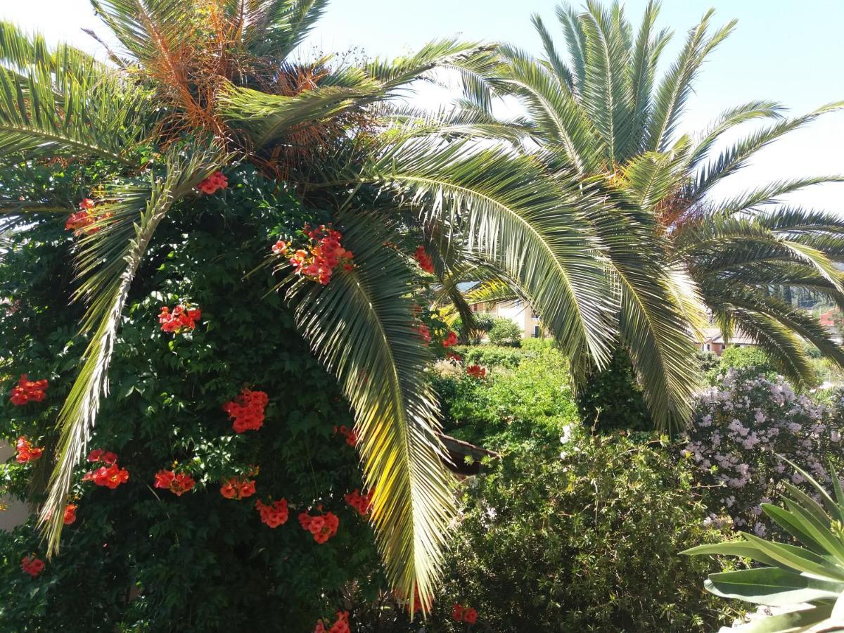 Alexandra Spingou Apartments Dassia  Dış mekan fotoğraf