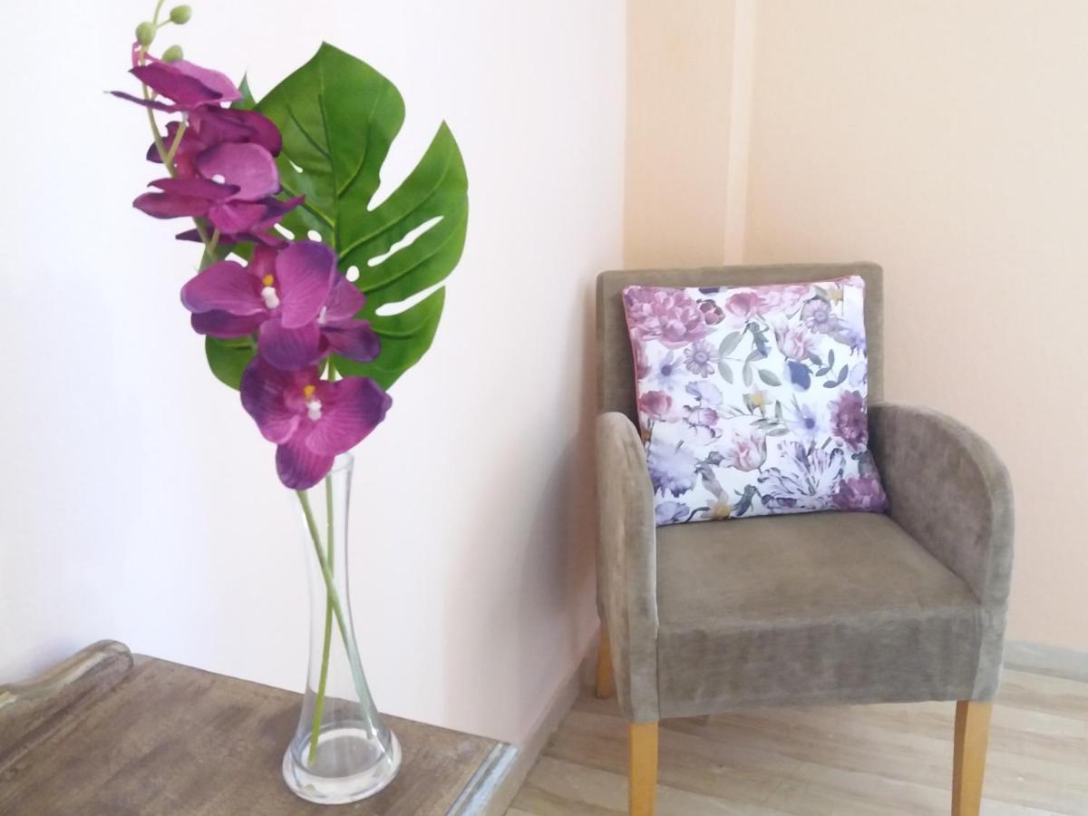 Alexandra Spingou Apartments Dassia  Dış mekan fotoğraf