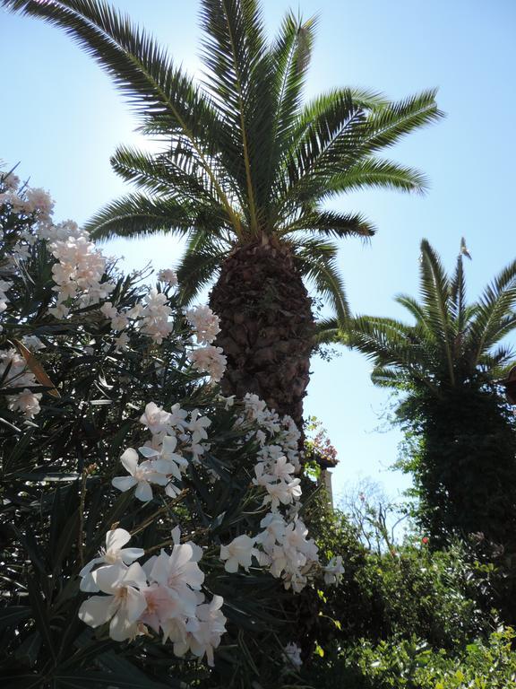 Alexandra Spingou Apartments Dassia  Dış mekan fotoğraf