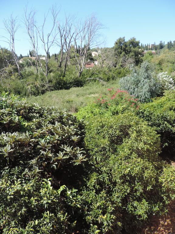 Alexandra Spingou Apartments Dassia  Dış mekan fotoğraf