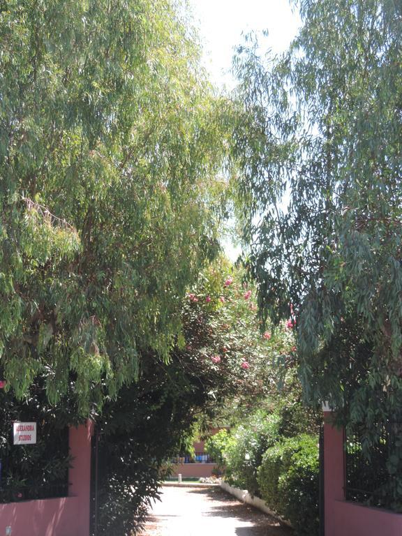 Alexandra Spingou Apartments Dassia  Dış mekan fotoğraf
