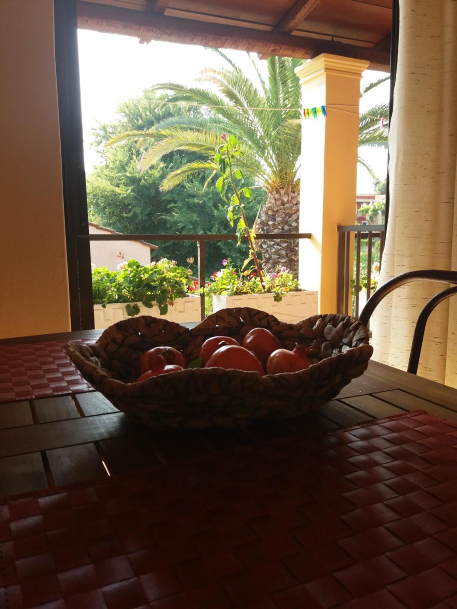 Alexandra Spingou Apartments Dassia  Dış mekan fotoğraf