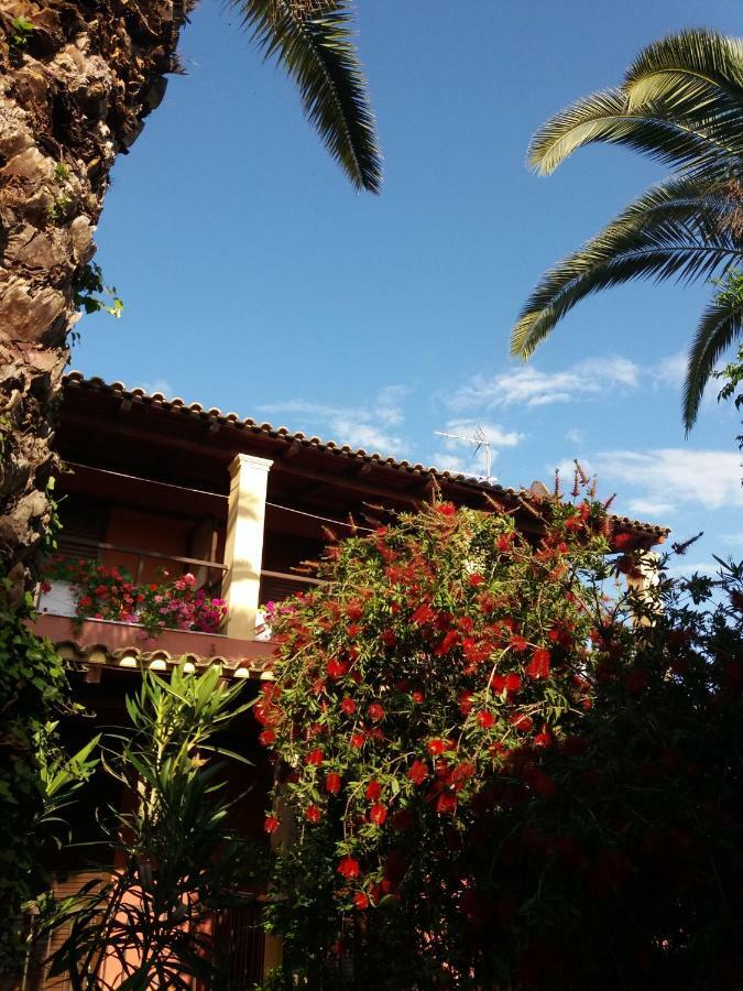 Alexandra Spingou Apartments Dassia  Dış mekan fotoğraf